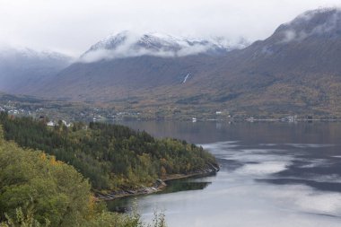 Kuzey Norveç 'teki fiyort kıyısında güzel bir sonbahar manzarası. İskandinavya 'nın mevsimlik manzarası.