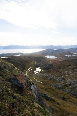 Kuzey Norveç 'teki fiyort kıyısında güzel bir sonbahar manzarası. İskandinavya 'nın mevsimlik manzarası.