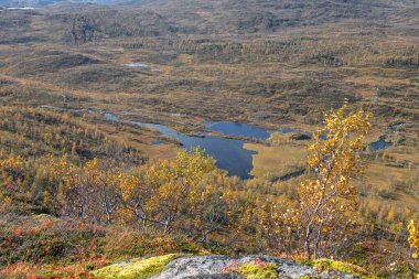 Kuzey Norveç 'te güzel bir sonbahar manzarası. İskandinavya 'nın mevsimlik manzarası.