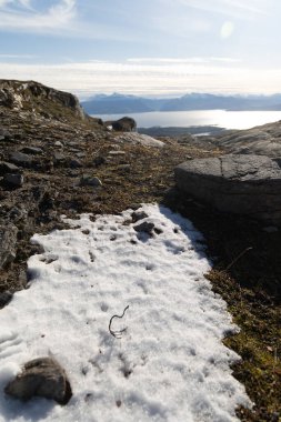 Kuzey Norveç 'te güzel bir sonbahar manzarası. İskandinavya 'nın mevsimlik manzarası.