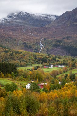 Kuzey Norveç kırsalının güzel sonbahar manzarası. İskandinavya 'nın mevsimlik manzarası.