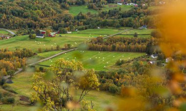 Kuzey Norveç kırsalının güzel sonbahar manzarası. İskandinavya 'nın mevsimlik manzarası.