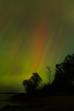 Letonya üzerinde sonbahar gökyüzünde güzel bir kuzey ışığı gösterisi. Aurora Borealis un Baltis Country gecesi. Kuzey Avrupa 'nın mevsimlik manzarası.