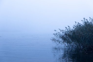 Puslu bir sonbahar sabahı, ağaçlar ve suyla birlikte göl manzarası. Letonya 'da sonbahar sezonu. Kuzey Avrupa 'nın mevsimlik manzarası.