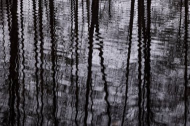 Letonya 'daki göl suyu yüzeyindeki güzel bulutlu sonbahar günü yansımaları. Kuzey Avrupa 'nın mevsimlik manzarası.