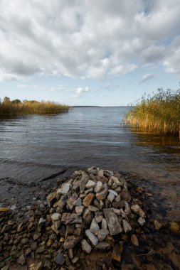Letonya 'nın göl kıyısında yetişen kamışlarla güneşli bir sonbahar günü. Kuzey Avrupa 'nın mevsimlik manzarası.