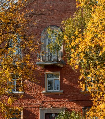 Riga, Letonya 'da renkli yaprakları ve şehir binaları olan güzel bir sonbahar manzarası. Kuzey Avrupa 'nın mevsimlik manzarası.