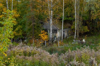 Riga, Letonya 'da renkli yaprakları ve şehir binaları olan güzel bir sonbahar manzarası. Kuzey Avrupa 'nın mevsimlik manzarası.