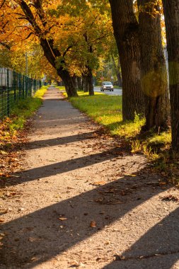 Riga, Letonya 'da güzel bir sonbahar sokak manzarası. Kuzey Avrupa 'nın mevsimlik manzarası.