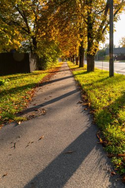 Riga, Letonya 'da güzel bir sonbahar sokak manzarası. Kuzey Avrupa 'nın mevsimlik manzarası.