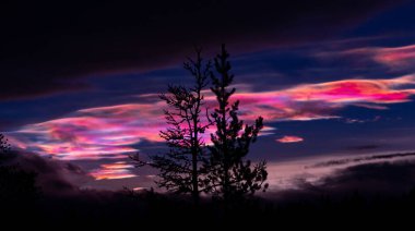 Norveç 'in kışın gökyüzünde nadir görülen stratosferik bulut görüntüsü. Gökyüzünde güneş ışınları içinde renkli buz kristalleri. Kış mevsiminde İskandinavya 'da Kuzey Kutbu doğası.