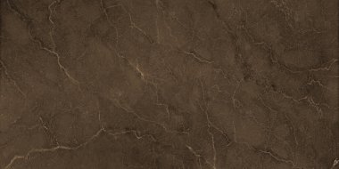 Seramik duvar ve zemin için, kahverengi travertin italyan deseni, Breccia kuartzite rustik Matt granit taş, kahve mermeri...