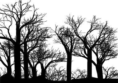 Orman vektör çizimi beyaz arkaplanda izole edildi