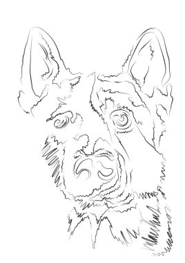 Beyaz arkaplanda köpek illüstrasyon vektörü çizimi