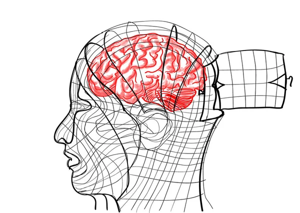 Brain Head Shaped Bird Cage — Stockový vektor