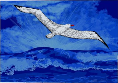 Okyanus ve kuş soyut çizimi