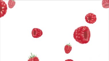 Beyaz arkaplanda düşen ahududular, video animasyonu