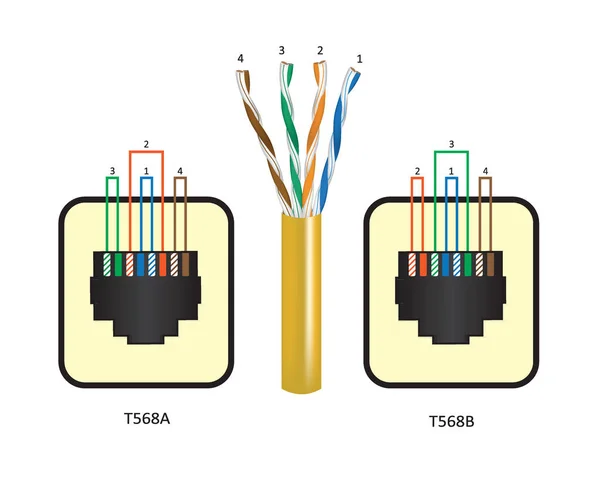 Utp Ethernet Cabling Standards Vector — Stockvector