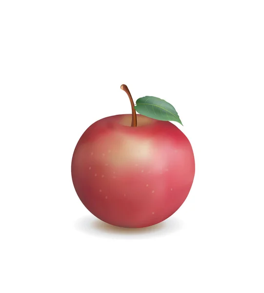 Beyaz Arkaplanda Gerçekçi Kırmızı Elma Vektör — Stok Vektör