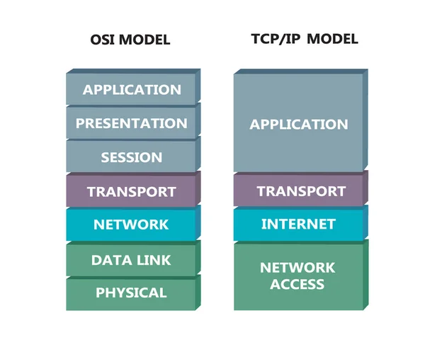OSI ve TCP modeli arasındaki karşılaştırma, vektör