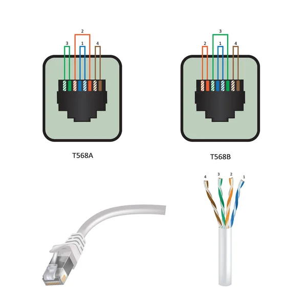 Utp Ethernet Cabling Standards Vector — Vettoriale Stock