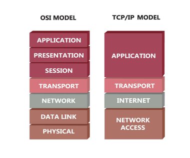 OSI and TCP model. vector