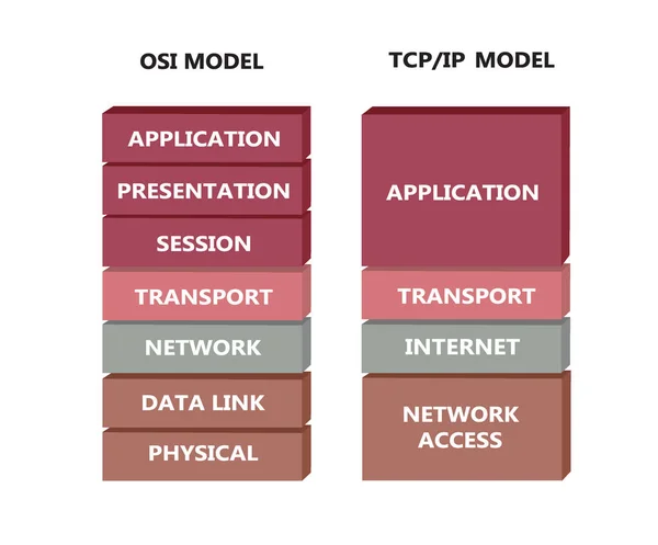 Osi Tcp Model Vector 免版税图库矢量图片