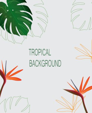 Kusursuz yaz şablonu. Vektör illüstrasyonu