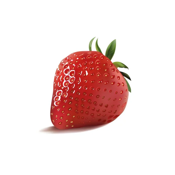 Strawberry Realistic Vector Illustration Vector Strawberry Red Berry Summer Berry — Stock Vector