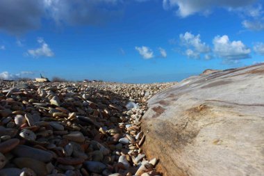 Kumsalda kum var ama burada olduğu gibi taşlardan da var. Detaylı olarak ve perspektifle fotoğraflanmış.