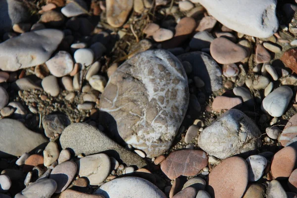 Dziwne Kolory Kamieni Natura Często Oferuje Dziwne Piękne Rzeczy Tutaj — Zdjęcie stockowe