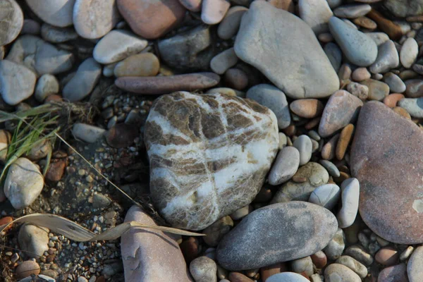 Dziwne Kolory Kamieni Natura Często Oferuje Dziwne Piękne Rzeczy Tutaj — Zdjęcie stockowe
