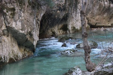 Dağ nehri, dağ nehrinin güzelliği ve şekilleri vahşi doğa ve çarpıcı detaylar arasında.