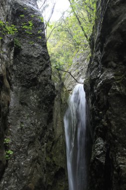 Gizli şelale, doğaya gömülmüş bu küçük şelale yaşıyor ve onu çevreleyen doğaya hayat veriyor.