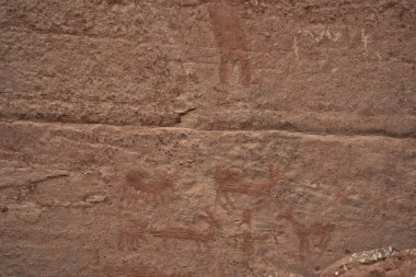 Sinagua halkı M.S. 650 civarında Arizona 'ya geldi. Yaban bitkileri ve hayvanlarla beslenen çiftçi insanlardı.