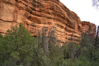 Sinagua halkı M.S. 650 civarında Arizona 'ya geldi. Yaban bitkileri ve hayvanlarla beslenen çiftçi insanlardı.