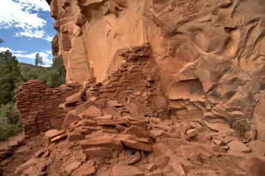 Sinagua halkı M.S. 650 civarında Arizona 'ya geldi. Yaban bitkileri ve hayvanlarla beslenen çiftçi insanlardı.