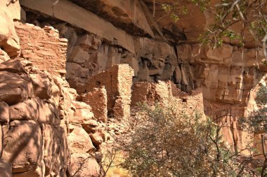 Sinagua halkı M.S. 650 civarında Arizona 'ya geldi. Yaban bitkileri ve hayvanlarla beslenen çiftçi insanlardı.