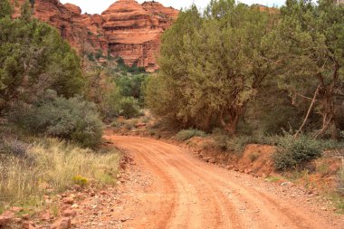Sinagua halkı M.S. 650 civarında Arizona 'ya geldi. Yaban bitkileri ve hayvanlarla beslenen çiftçi insanlardı.
