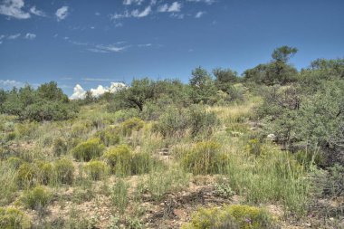 Montezuma çevresindeki engebeli arazi McGuireville, AZ yakınlarında.