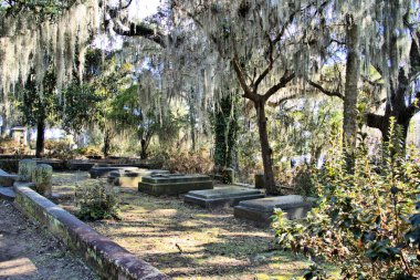 Spanish Moss hanging from live oak trees above a row of historic burial sites in Bonaventure Cemetery