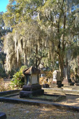 Huge stone statue in historic Bonaventure Cemetery with spanish moss hanging from live oaks over the grave sites in the early morning sunlight