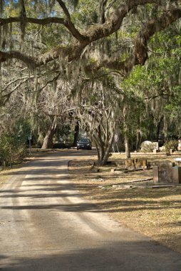 Landscape of Tombstones and grave site at Bonaventure Cemetery, Savannah, Georgia. Live Oak trees and Spanish Moss in the background.