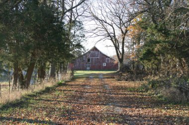 Bizim yataydan kaybolan
