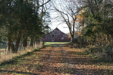 Bizim yataydan kaybolan