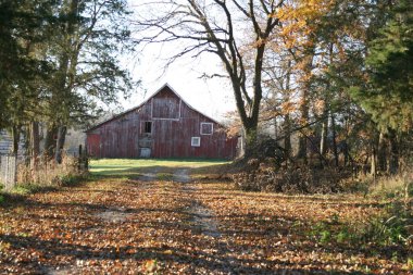 Bizim yataydan kaybolan