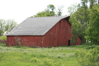 Bizim yataydan kaybolan