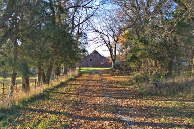 Red wood barn at the end of the driveway surrounded with early fall colors