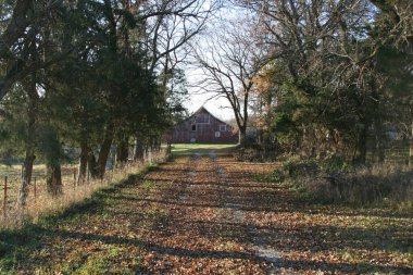 Red wood barn at the end of the driveway surrounded with early fall colors