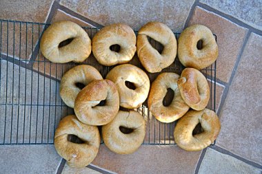 Sourdough Bagels freshly out of the oven laid on cooking racks on a tile floor to cool them in time for breakfast